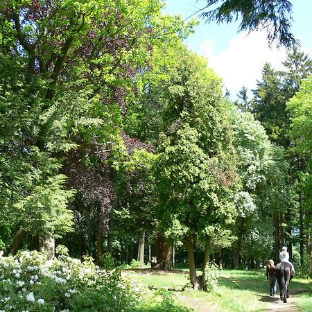 Parkhotel Smrzovka Екстер'єр фото